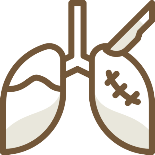 lungs
